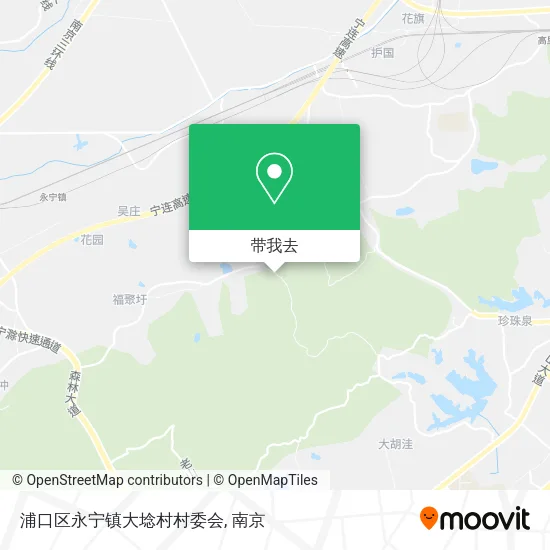浦口区永宁镇大埝村村委会地图