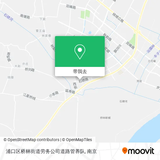 浦口区桥林街道劳务公司道路管养队地图