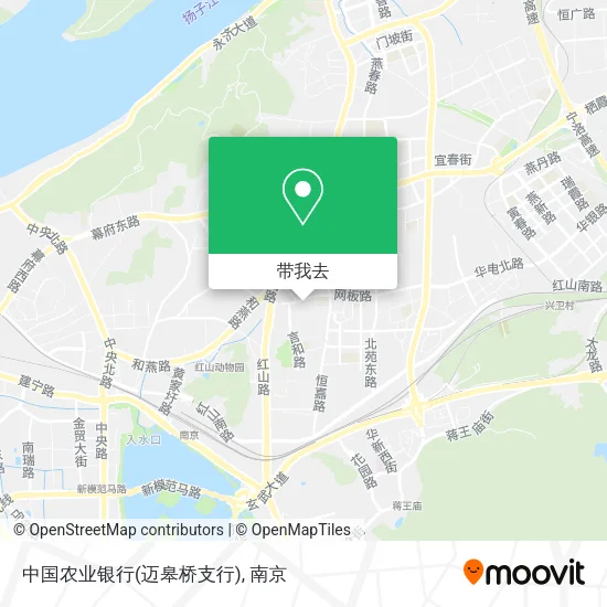 中国农业银行(迈皋桥支行)地图