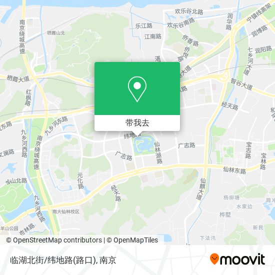 临湖北街/纬地路(路口)地图