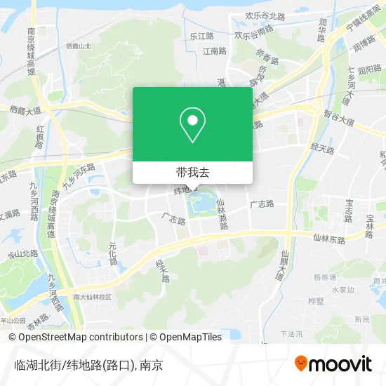 临湖北街/纬地路(路口)地图
