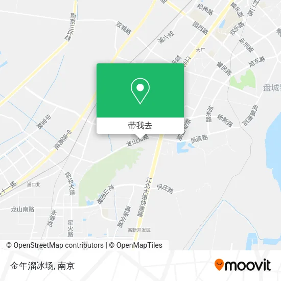 金年溜冰场地图