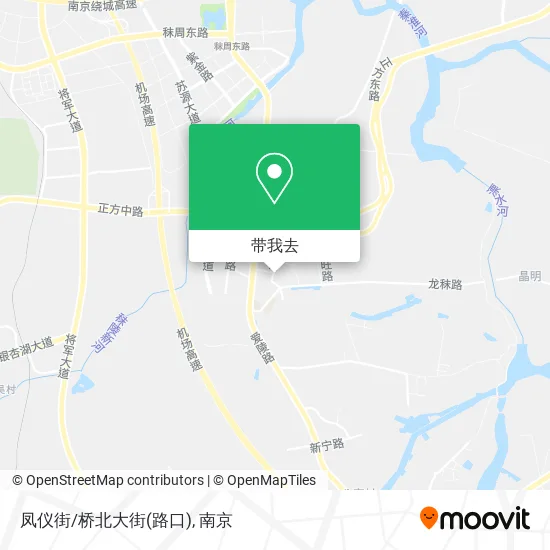 凤仪街/桥北大街(路口)地图