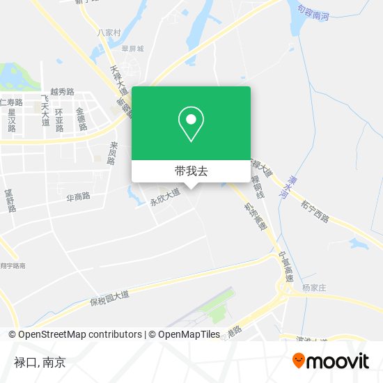 禄口地图