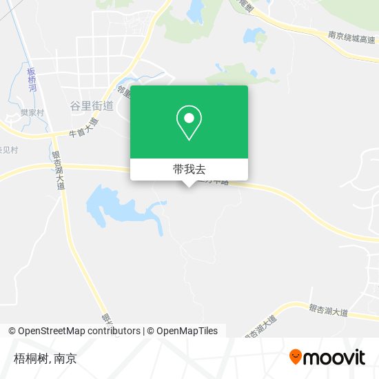 梧桐树地图