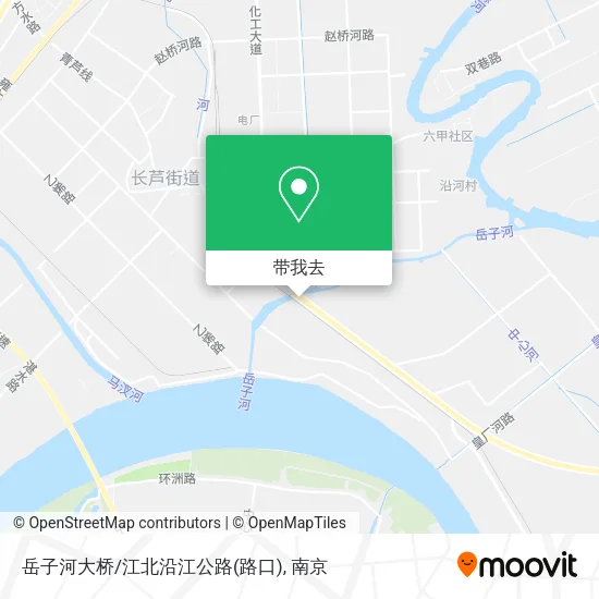 岳子河大桥/江北沿江公路(路口)地图