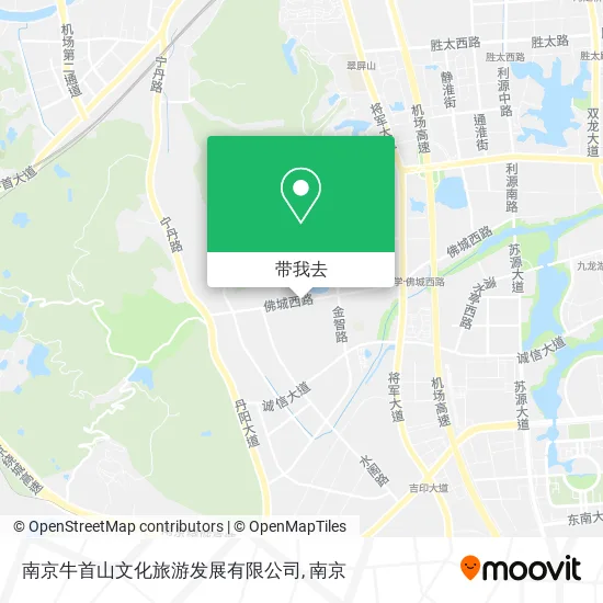南京牛首山文化旅游发展有限公司地图
