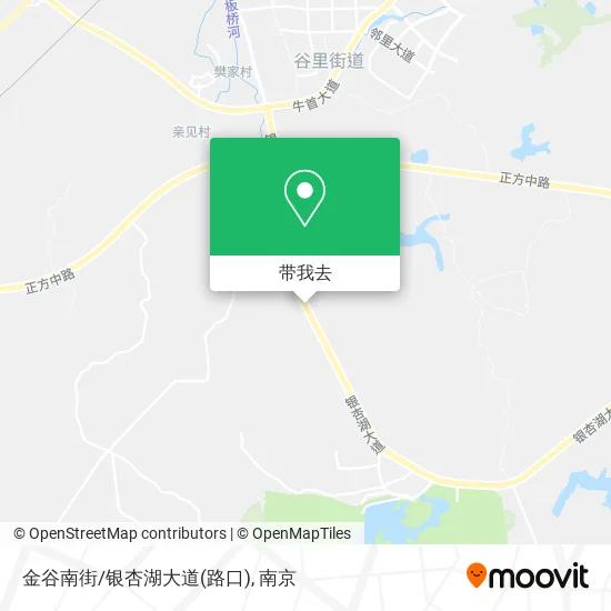 金谷南街/银杏湖大道(路口)地图