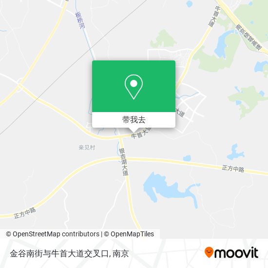金谷南街与牛首大道交叉口地图