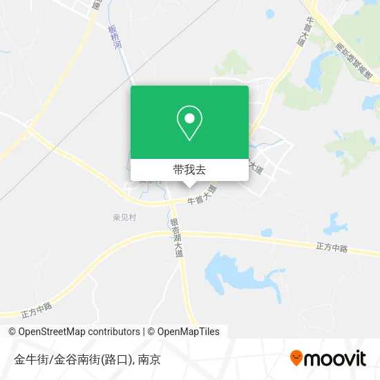 金牛街/金谷南街(路口)地图