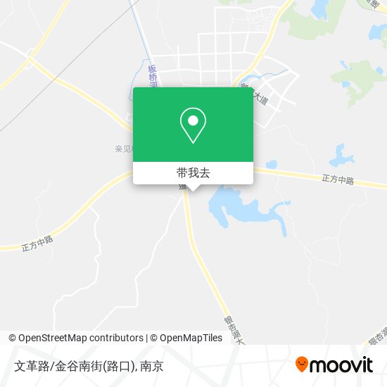 文革路/金谷南街(路口)地图