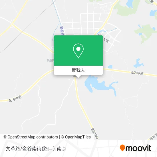 文革路/金谷南街(路口)地图