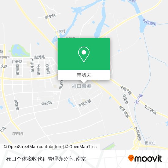 禄口个体税收代征管理办公室地图