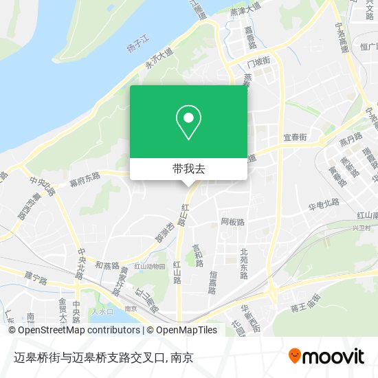 迈皋桥街与迈皋桥支路交叉口地图
