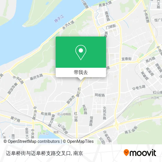 迈皋桥街与迈皋桥支路交叉口地图