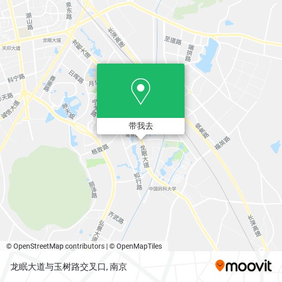 龙眠大道与玉树路交叉口地图