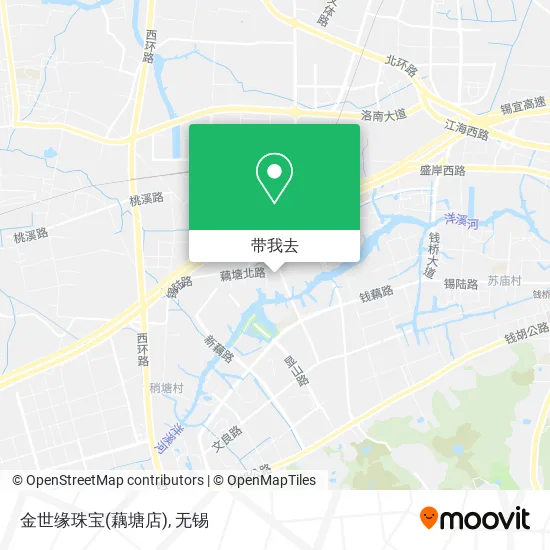 金世缘珠宝(藕塘店)地图