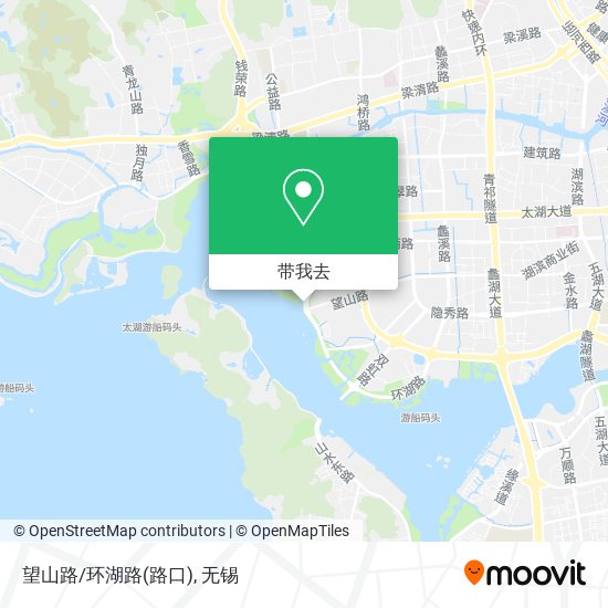 望山路/环湖路(路口)地图