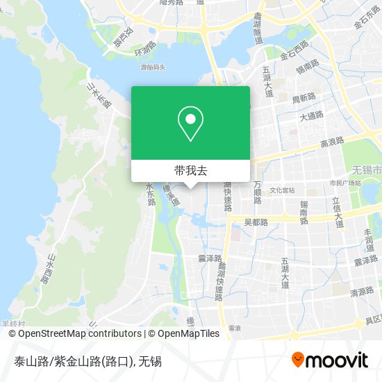 泰山路/紫金山路(路口)地图