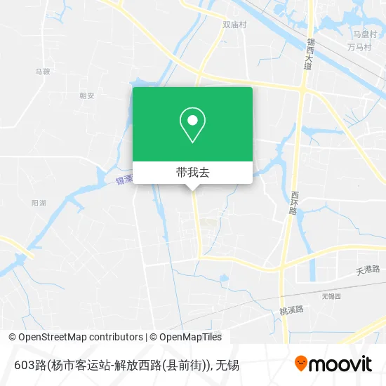 603路(杨市客运站-解放西路(县前街))地图