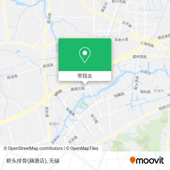 桥头排骨(藕塘店)地图