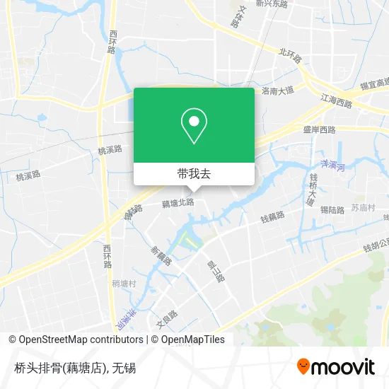 桥头排骨(藕塘店)地图