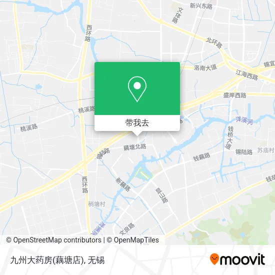 九州大药房(藕塘店)地图