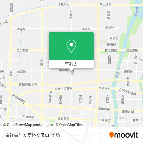 泰祥街与友爱路交叉口地图