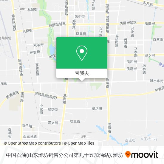 中国石油(山东潍坊销售分公司第九十五加油站)地图