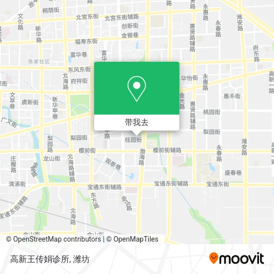 高新王传娟诊所地图