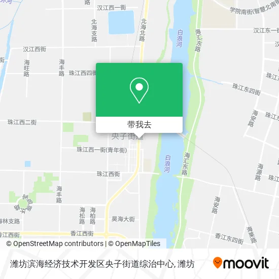潍坊滨海经济技术开发区央子街道综治中心地图
