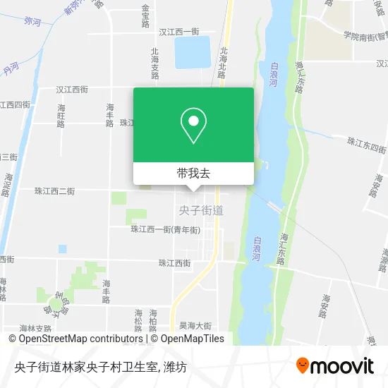 央子街道林家央子村卫生室地图