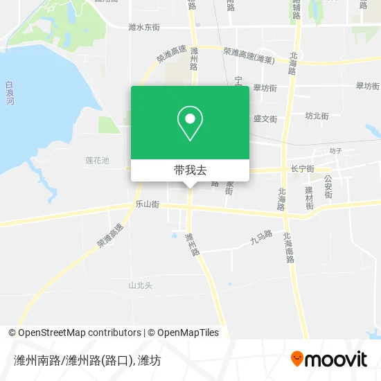 潍州南路/潍州路(路口)地图