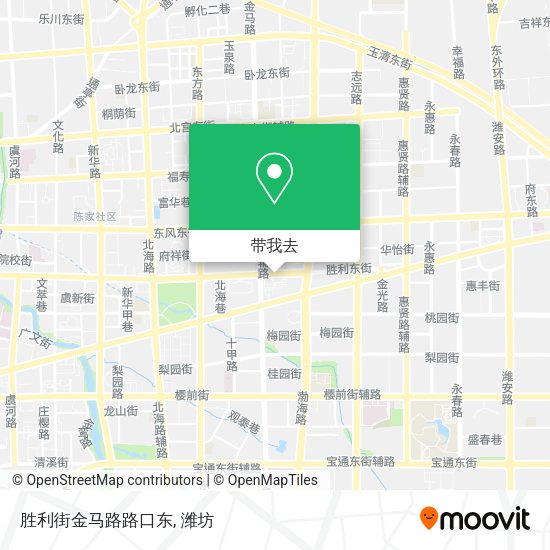 胜利街金马路路口东地图
