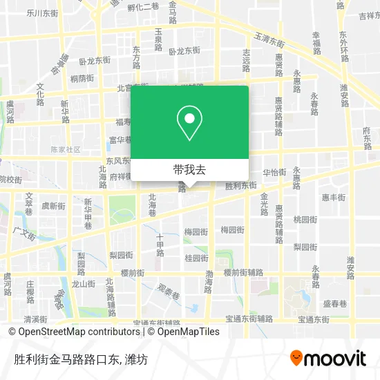 胜利街金马路路口东地图