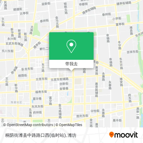桐荫街潍县中路路口西(临时站)地图