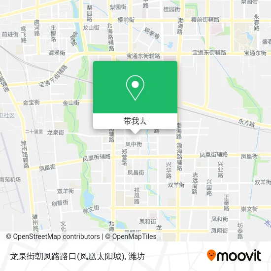 龙泉街朝凤路路口(凤凰太阳城)地图