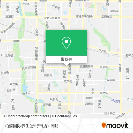 柏姿国际养生(步行街店)地图