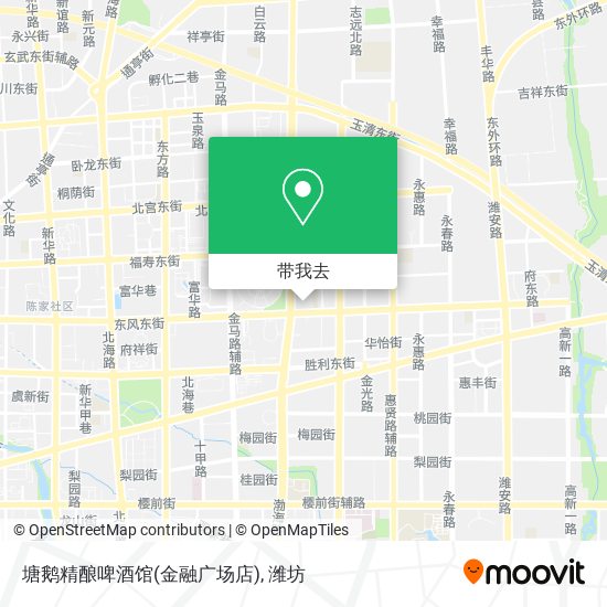 塘鹅精酿啤酒馆(金融广场店)地图