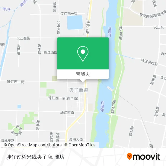 胖仔过桥米线央子店地图
