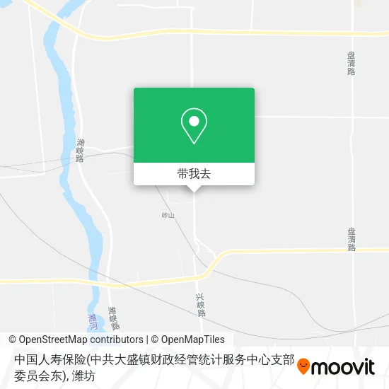 中国人寿保险(中共大盛镇财政经管统计服务中心支部委员会东)地图