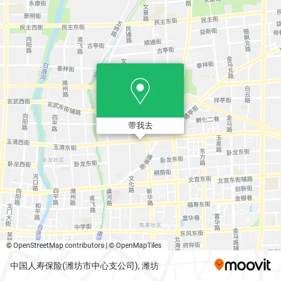 中国人寿保险(潍坊市中心支公司)地图