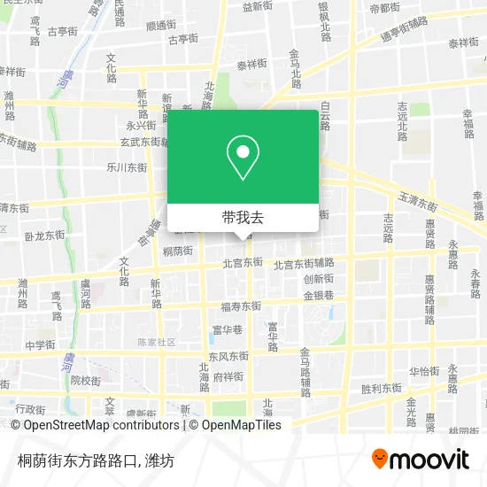 桐荫街东方路路口地图