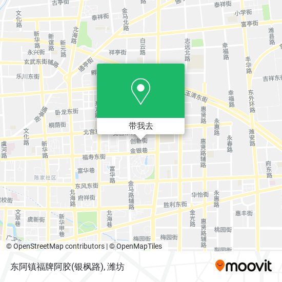 东阿镇福牌阿胶(银枫路)地图
