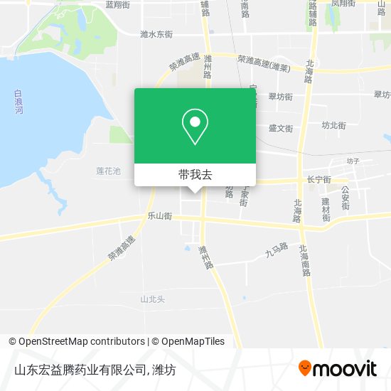 山东宏益腾药业有限公司地图
