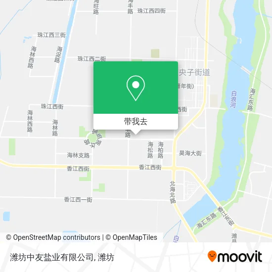 潍坊中友盐业有限公司地图
