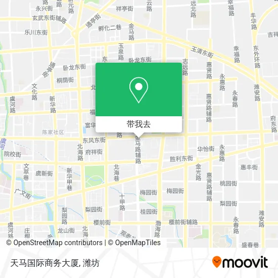 天马国际商务大厦地图