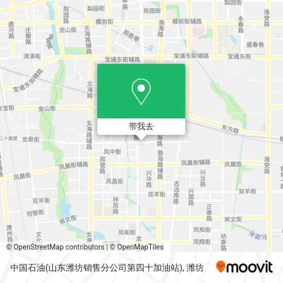 中国石油(山东潍坊销售分公司第四十加油站)地图
