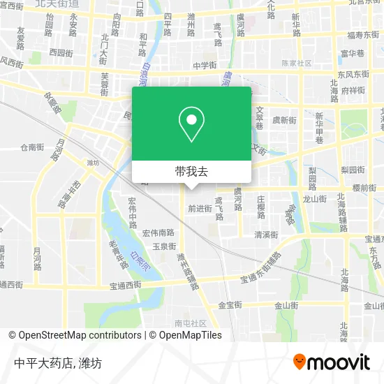 中平大药店地图