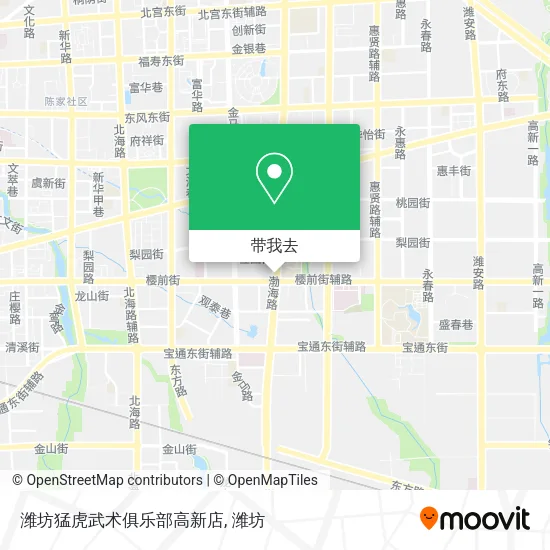 潍坊猛虎武术俱乐部高新店地图